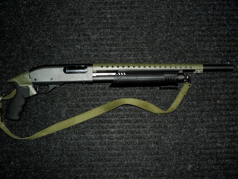 870.jpg