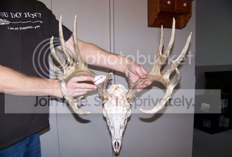 deerfront.jpg