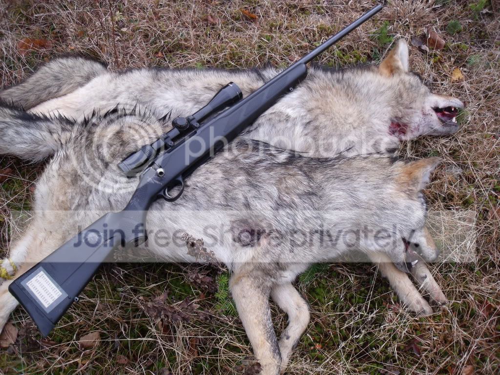 HuntingCorns09B080.jpg