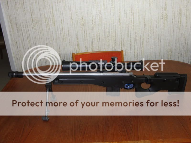 Monday07252011014.jpg