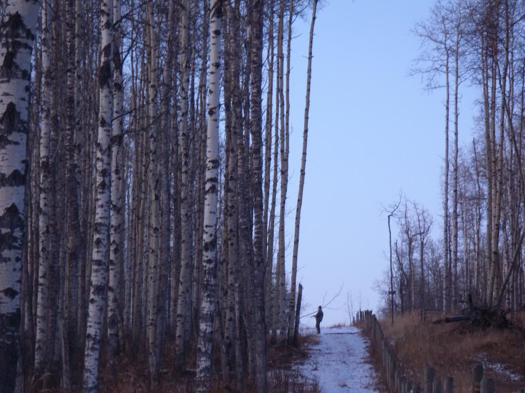 PB060017_zps62b459ef.jpg