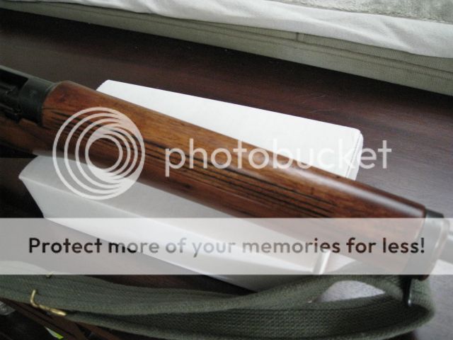 100463762_zps7e6666b9.jpg