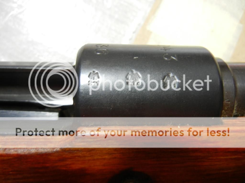 DSCN9338.jpg