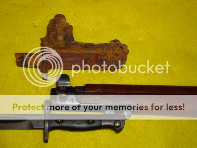 DSC00130_zps6013b9af.jpg