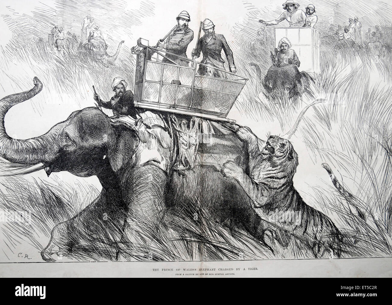 royalty-on-tour-the-prince-of-waless-elephant-charged-by-tiger-india-ET5C2R.jpg
