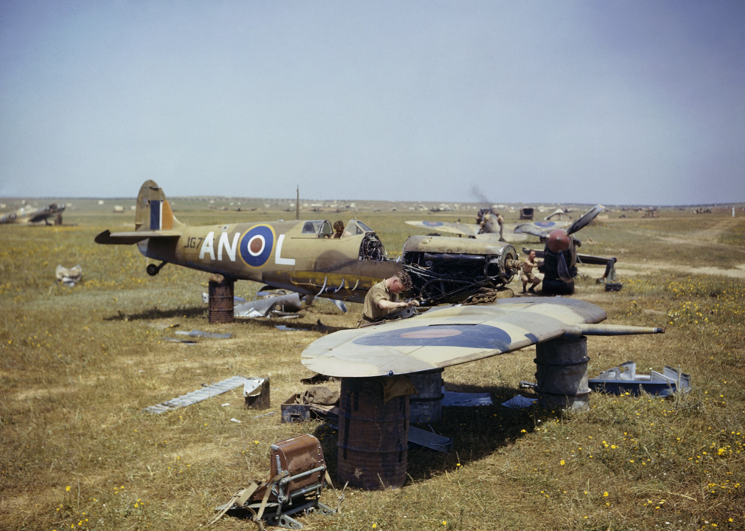 The_Desert_Air_Force_in_Tunisia%2C_Spring_1943_TR1009.jpg