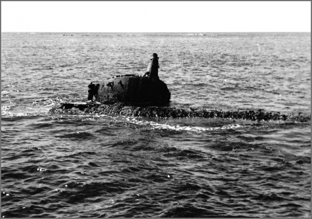 u_570_above.jpg
